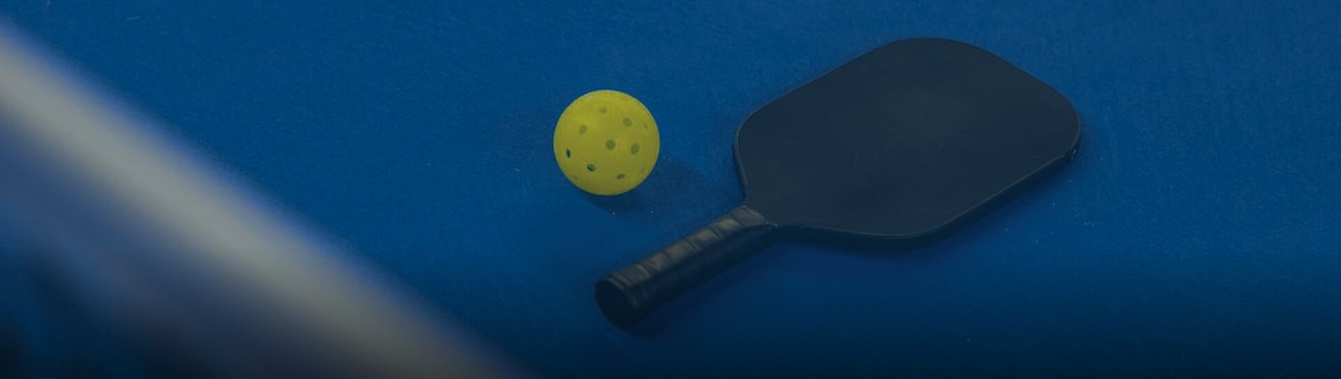 Hero image of pickleball courts